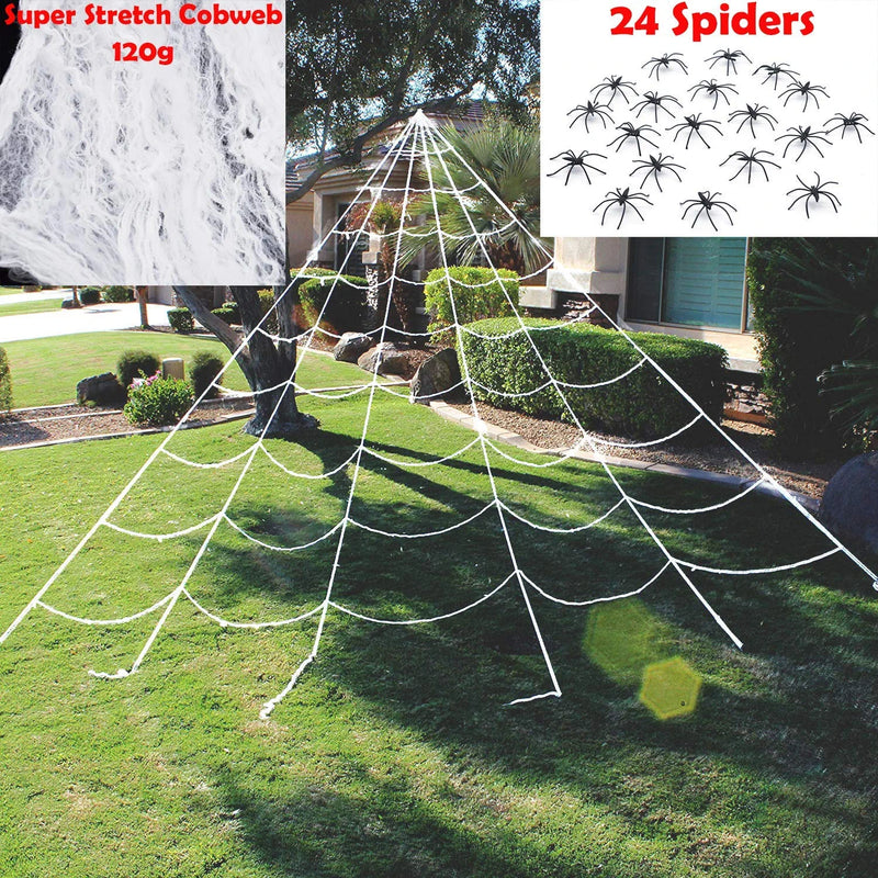 Giant Triangular Spider Web