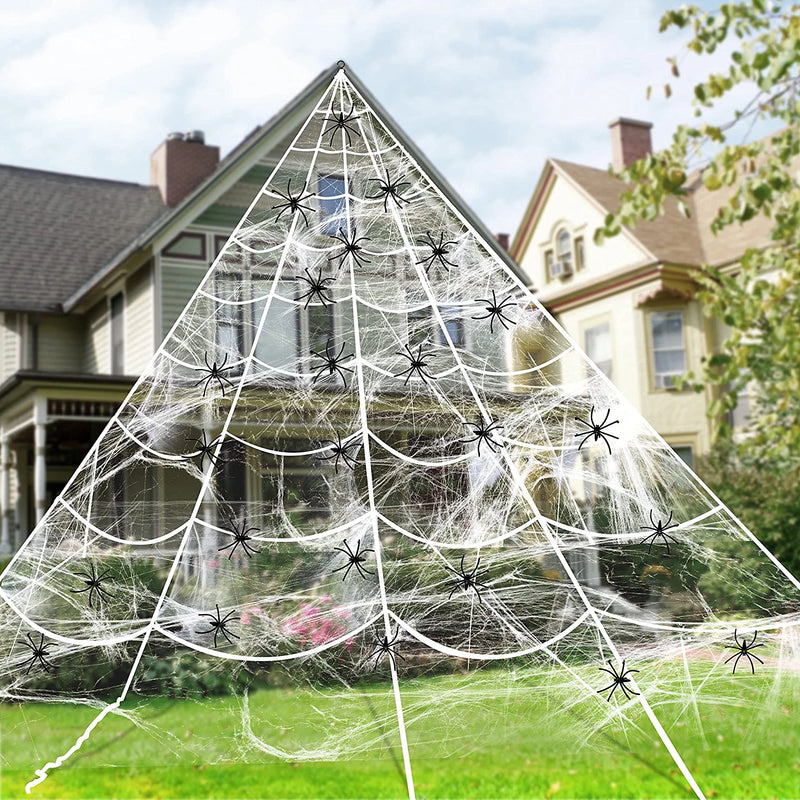 Giant Triangular Spider Web