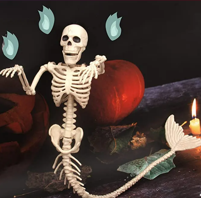 6 Spooky Scary Skeletons ideas in 2022