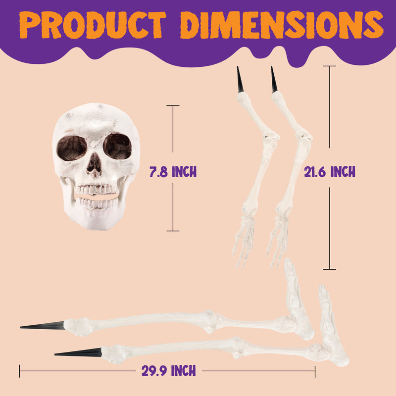 Life Size Groundbreaker Skeleton Stakes