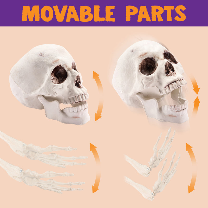 Life Size Groundbreaker Skeleton Stakes