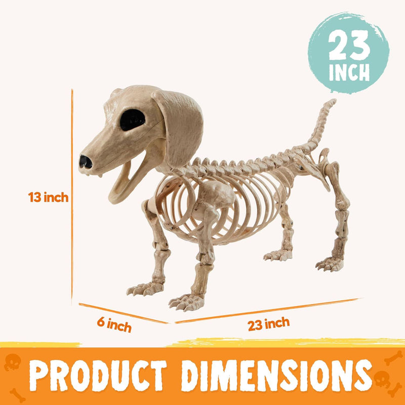 Halloween Wiener Dog Skeleton 24in with Posable Joints