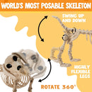 Halloween Wiener Dog Skeleton 24in with Posable Joints