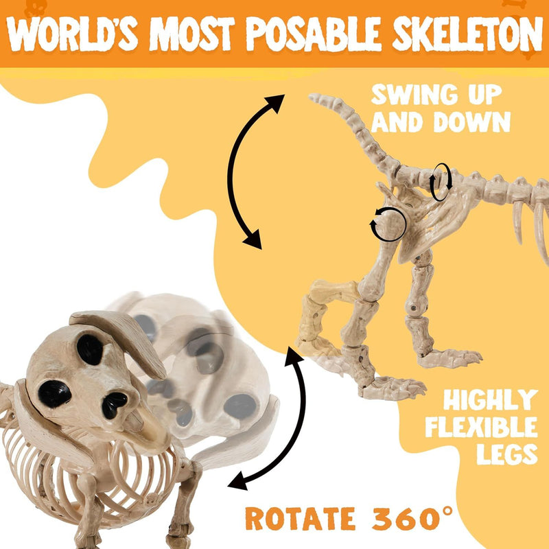 Halloween Wiener Dog Skeleton 24in with Posable Joints