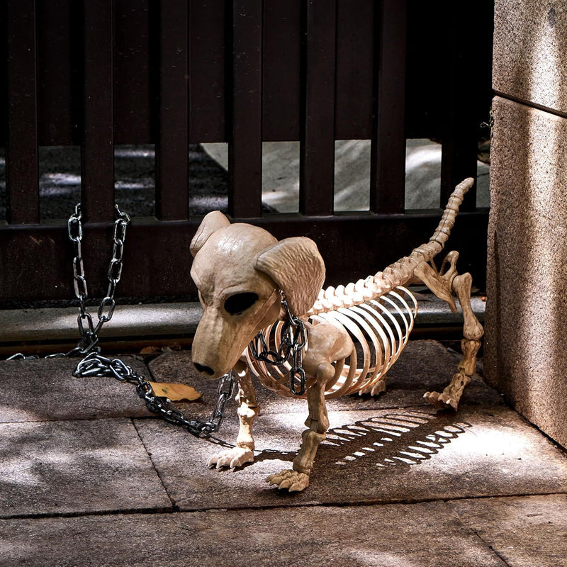 Halloween Wiener Dog Skeleton 24in with Posable Joints