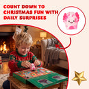 JOYIN Christmas Advent Calendar - 24 Days of Fidget Toys