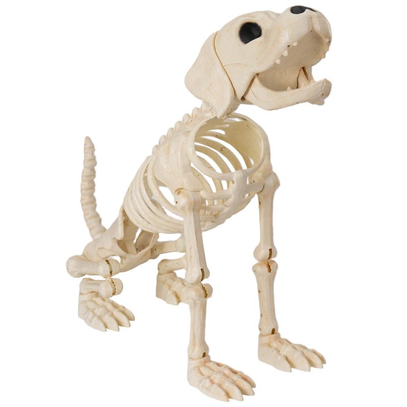 Halloween Golden Retriever Skeleton 40” Animal Dog