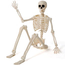 36" Halloween Skeleton Decor