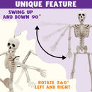 2 PCS 24in Halloween Full Body Posable Skeletons Human Plastic Bones with Movable Joints