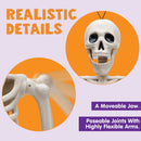 2 PCS 24in Halloween Full Body Posable Skeletons Human Plastic Bones with Movable Joints