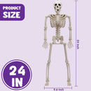 2 PCS 24in Halloween Full Body Posable Skeletons Human Plastic Bones with Movable Joints
