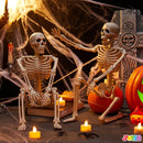 2 PCS 24in Halloween Full Body Posable Skeletons Human Plastic Bones with Movable Joints