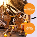 2 PCS 24in Halloween Full Body Posable Skeletons Human Plastic Bones with Movable Joints