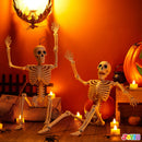 2 PCS 24in Halloween Full Body Posable Skeletons Human Plastic Bones with Movable Joints