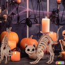 2 PCS Skeleton Cat Halloween Decorations Set Animal Courtyard Decoration