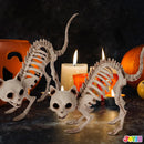 2 PCS Skeleton Cat Halloween Decorations Set Animal Courtyard Decoration