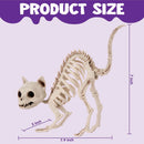 2 PCS Skeleton Cat Halloween Decorations Set Animal Courtyard Decoration