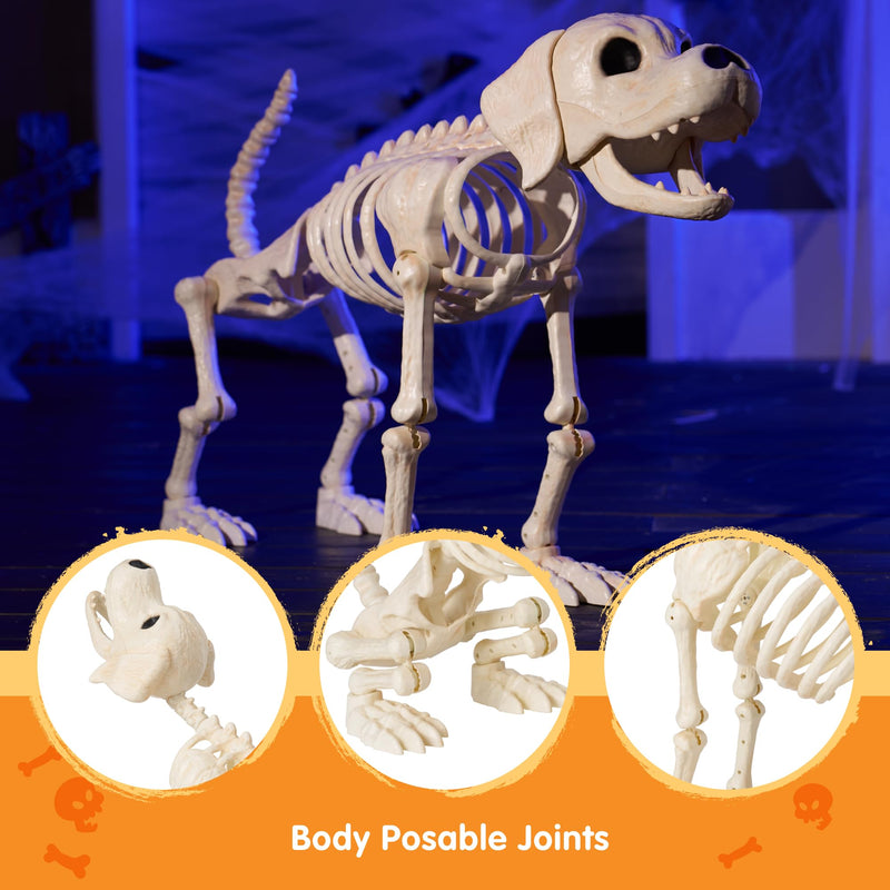 Halloween Golden Retriever Skeleton 40” Animal Dog