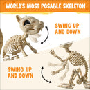 9.1 Inch Squirrel Skeleton Halloween Decoration