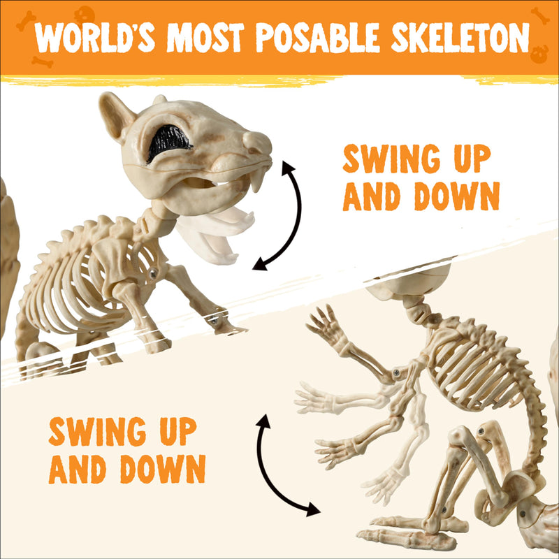 9.1 Inch Squirrel Skeleton Halloween Decoration