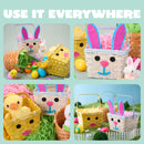 3Pcs Easter Bamboo Baskets, Bunny Chick Carrot Baskets for Baby Girls Boys First Easter