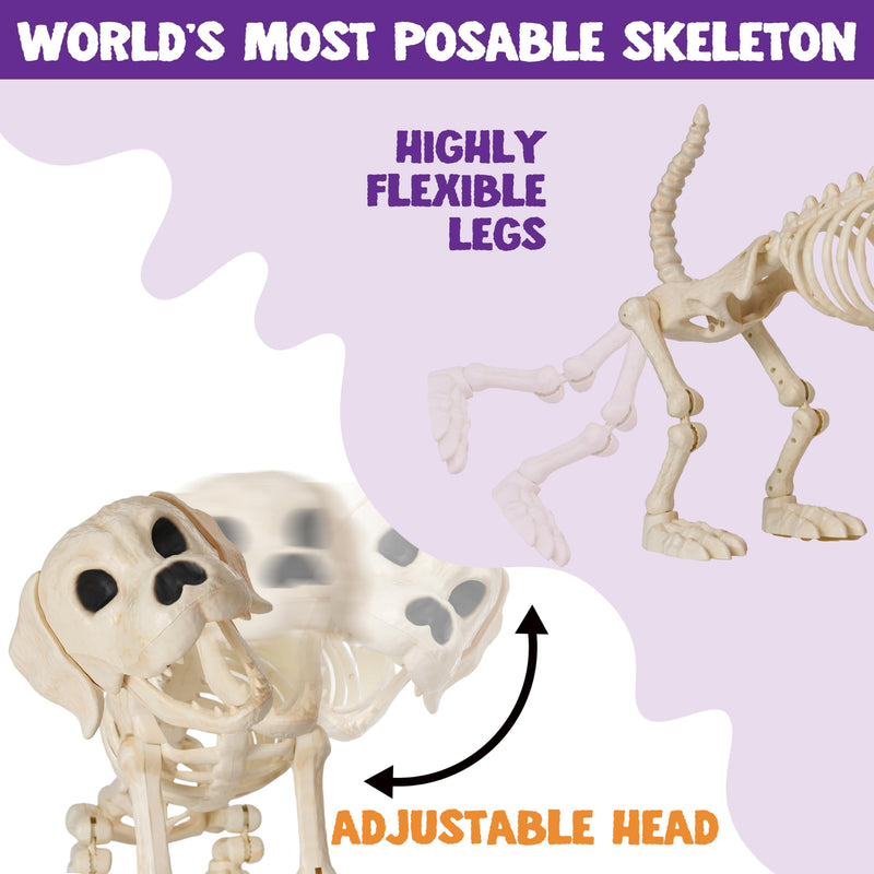 Halloween Golden Retriever Skeleton 34” Animal Dog