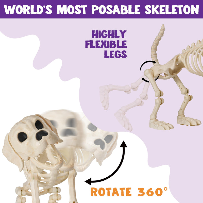 Halloween Golden Retriever Skeleton 40” Animal Dog