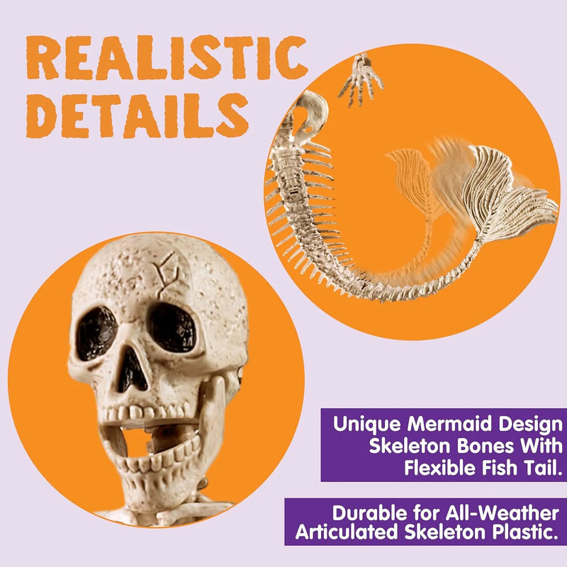 4 PCS Mermaid Skeleton 20in Plastic Bones with Movable Posable Joints
