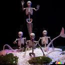 4 PCS Mermaid Skeleton 20in Plastic Bones with Movable Posable Joints