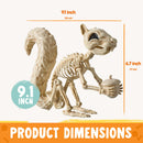 9.1 Inch Squirrel Skeleton Halloween Decoration