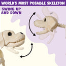 Halloween Golden Retriever Skeleton 34” Animal Dog
