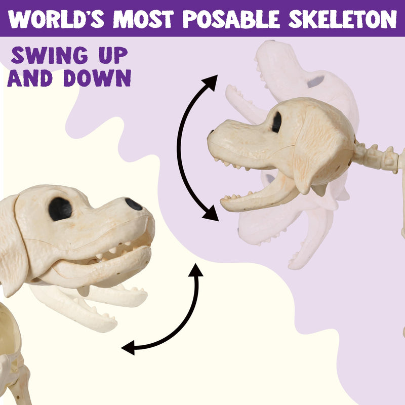 Halloween Golden Retriever Skeleton 40” Animal Dog