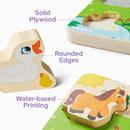 Tactile & Sound Wooden Chunky Puzzles for Baby 2-4