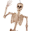 5.6ft Halloween Posable Life Size Skeleton Full Body Realistic Bones with Movable Joints
