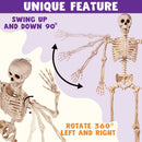 5.6ft Halloween Posable Life Size Skeleton Full Body Realistic Bones with Movable Joints