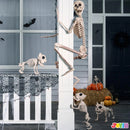 5.6ft Halloween Posable Life Size Skeleton Full Body Realistic Bones with Movable Joints