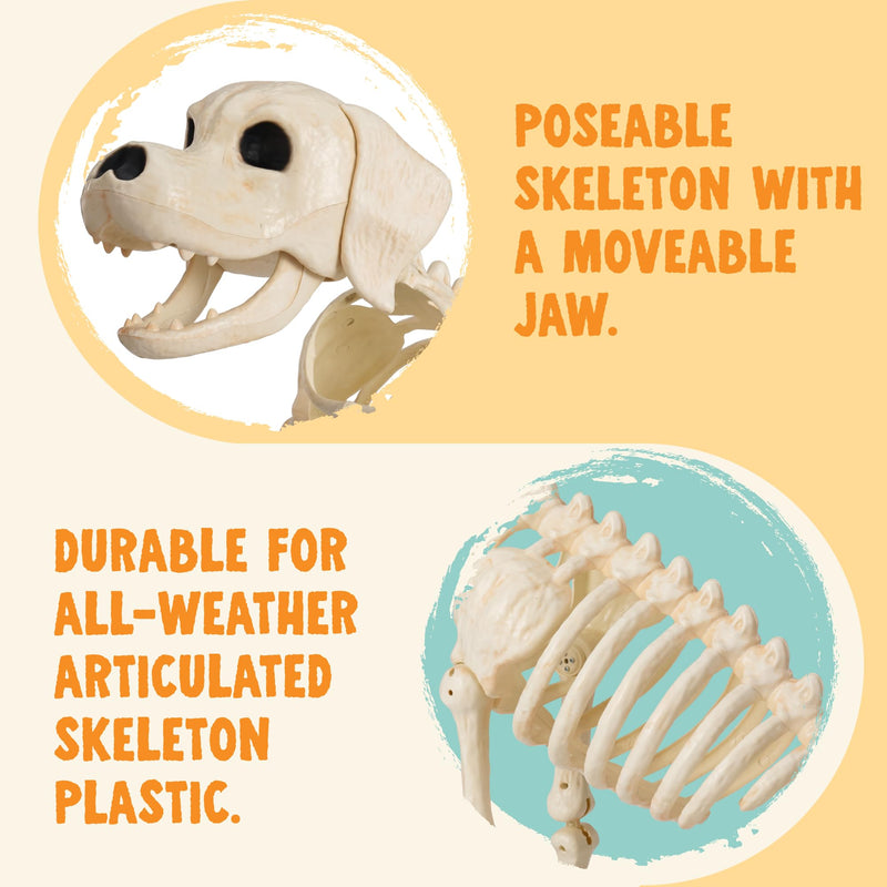 Halloween Golden Retriever Skeleton 34” Animal Dog
