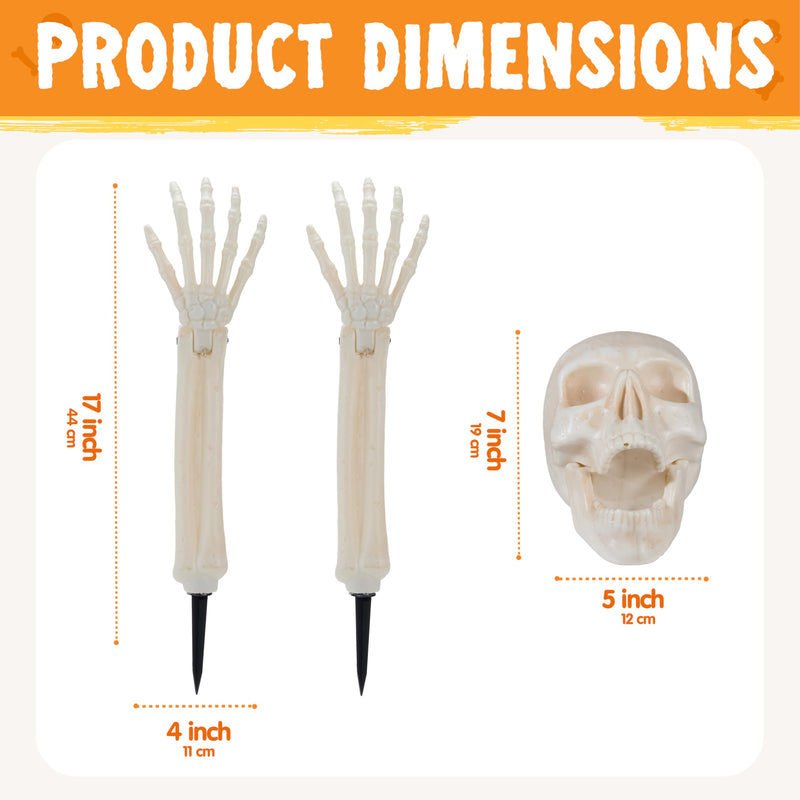 5 Pcs Halloween Skeleton Decorations Outdoor