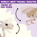 Dragon Skeleton Halloween Decoration