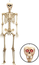 60in Life-Size Skeleton