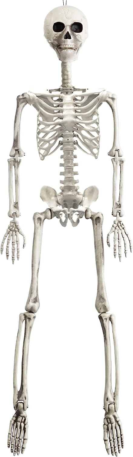 Posable Skeleton 36in