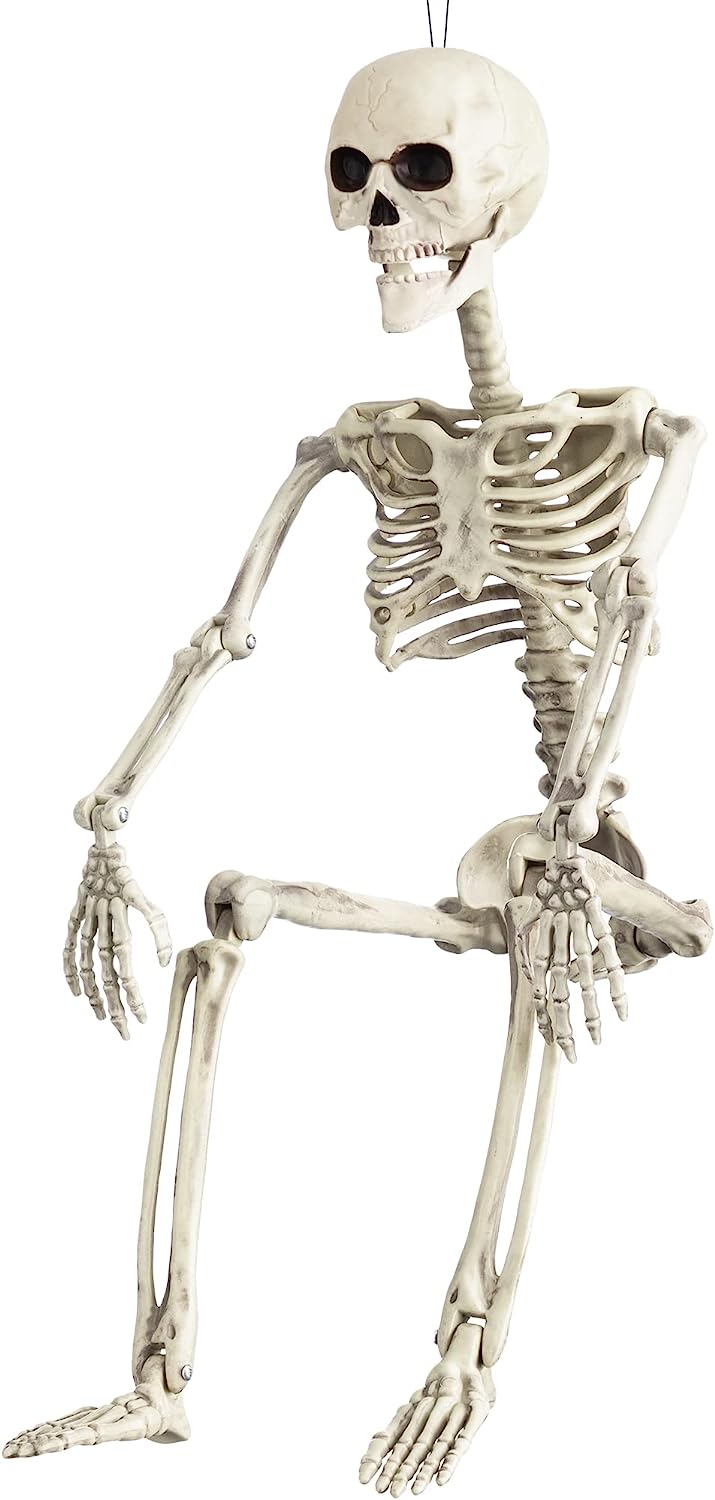 Posable Skeleton 36in