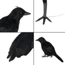 Halloween Crow Decoration Set, 6 Pack