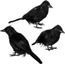 Halloween Crow Decoration Set, 6 Pack