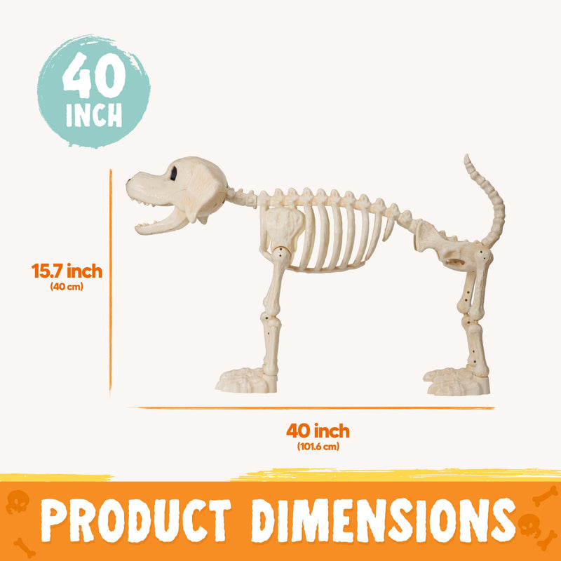Halloween Golden Retriever Skeleton 40” Animal Dog