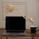 27.6 Inch Flamingo Skeleton Halloween Decorations