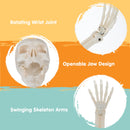 3 Pcs Halloween Skeleton Decorations Outdoor