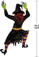 36.5in Witch Wall Climber