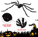 3 Pack Halloween Realistic Hairy Spiders