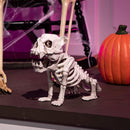 11in Tall Skeleton Puppy Plastic Figurine
